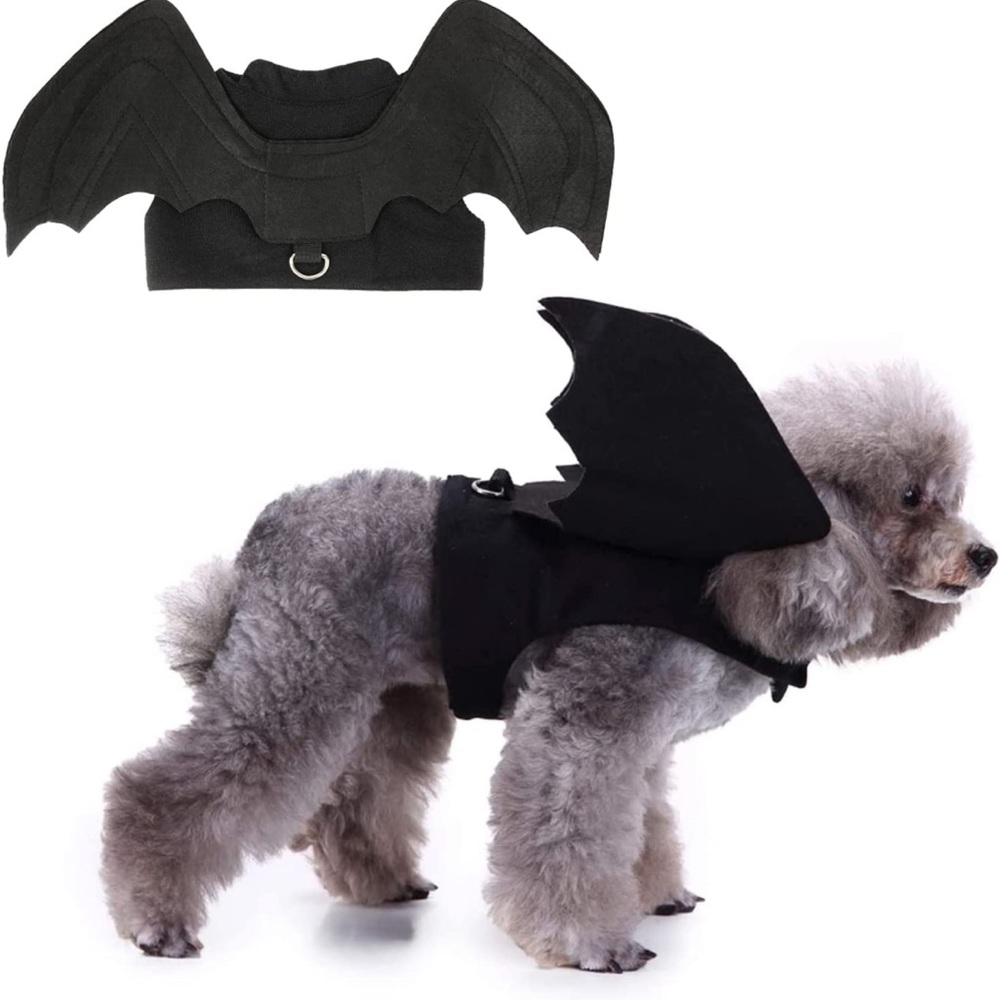 Bat costume